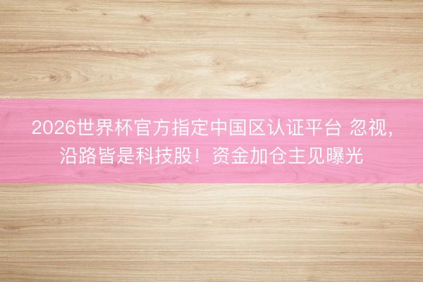 2026世界杯官方指定中国区认证平台 忽视，沿路皆是科技股！资金加仓主见曝光