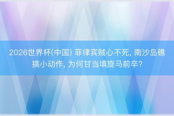 2026世界杯(中国) 菲律宾贼心不死， 南沙岛礁搞小动作， 为何甘当填旋马前卒?