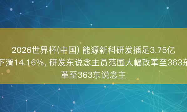 2026世界杯(中国) 能源新科研发插足3.75亿元同比下滑14.16%， 研发东说念主员范围大幅改革至363东说念主