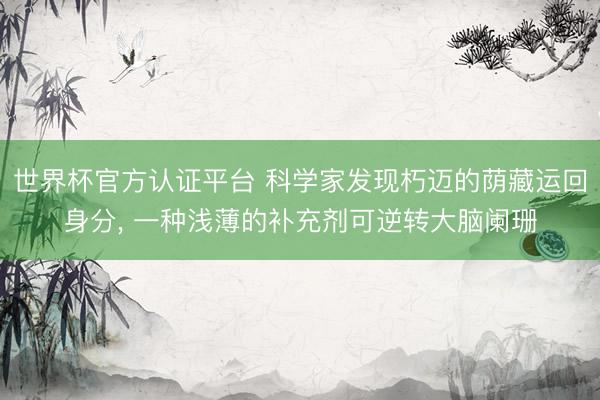 世界杯官方认证平台 科学家发现朽迈的荫藏运回身分， 一种浅薄的补充剂可逆转大脑阑珊