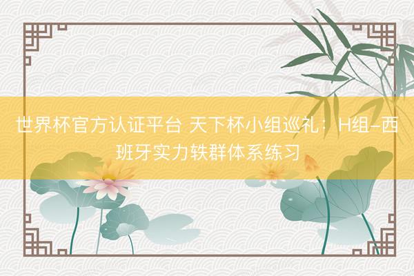 世界杯官方认证平台 天下杯小组巡礼：H组-西班牙实力轶群体系练习