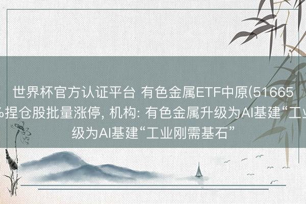 世界杯官方认证平台 有色金属ETF中原(516650)收涨近2%捏仓股批量涨停， 机构: 有色金属升级为AI基建“工业刚需基石”