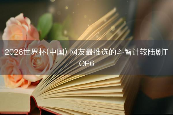 2026世界杯(中国) 网友最推选的斗智计较陆剧TOP6