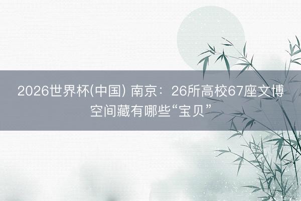 2026世界杯(中国) 南京：26所高校67座文博空间藏有哪些“宝贝”